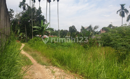Tanah Dijual Alam Barajo Tanah Dijual Alam Barajo