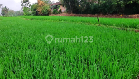Tanah Dijual Girimarto Tanah Dijual Girimarto