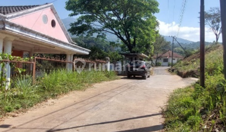 Rumah Tinggal di Desa Lumbangrejo