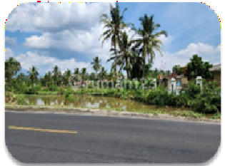 Tanah Kosong Murah Aset Bsi di Pesawaran, Bandar Lampung