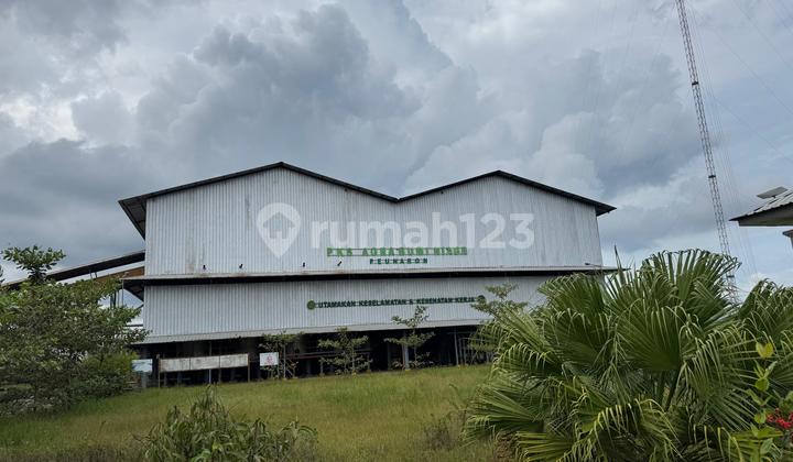 Investasi Pabrik Murah Aset Bsi di Aceh Timur Investasi Pabrik Murah Aset Bsi di Aceh Timur