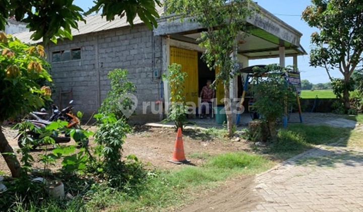 Rumah Tinggal di Desa Jogomerto Rumah Tinggal di Desa Jogomerto