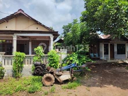 Rumah Siap Huni dengan Lokasi Strategis Rumah Siap Huni dengan Lokasi Strategis