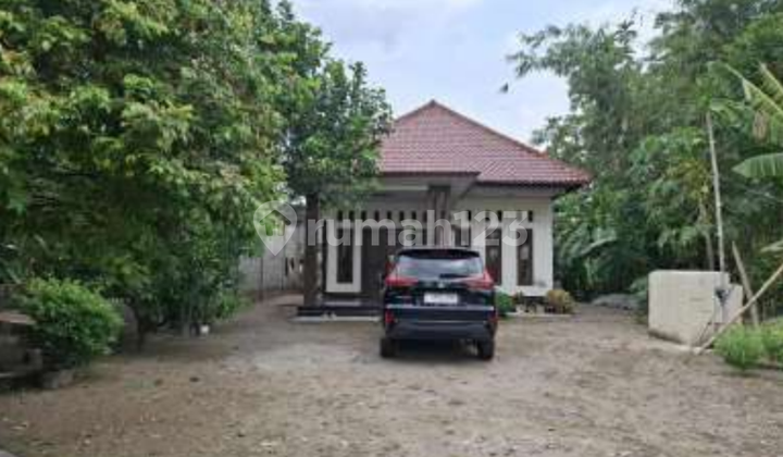 Rumah Nyaman dengan Halaman Luas Rumah Nyaman dengan Halaman Luas