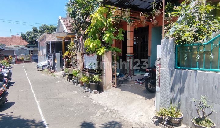 Rumah Tinggal di Malang Rumah Tinggal di Malang