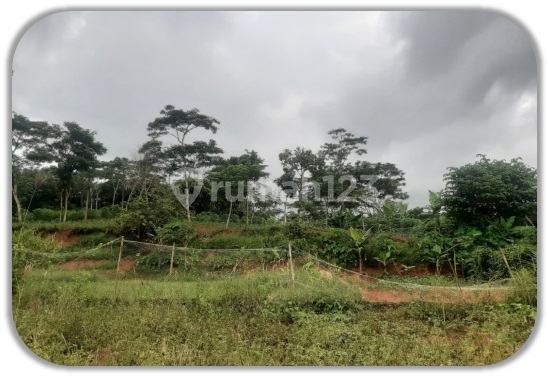 Tanah Kosong Murah Aset Bsi di Sukabumi Tanah Kosong Murah Aset Bsi di Sukabumi
