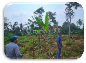 Tanah Kosong Murah Aset Bsi di Serang, Banten Tanah Kosong Murah Aset Bsi di Serang, Banten