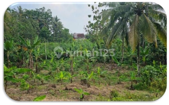 Tanah Kosong Murah Aset Bsi di Serang, Banten Tanah Kosong Murah Aset Bsi di Serang, Banten