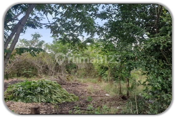 Tanah Kosong Murah Aset Bsi di Sigi, Sulteng Tanah Kosong Murah Aset Bsi di Sigi, Sulteng