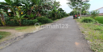 Tanah Pekarangan Dekat Pasar Adipala Tanah Pekarangan Dekat Pasar Adipala
