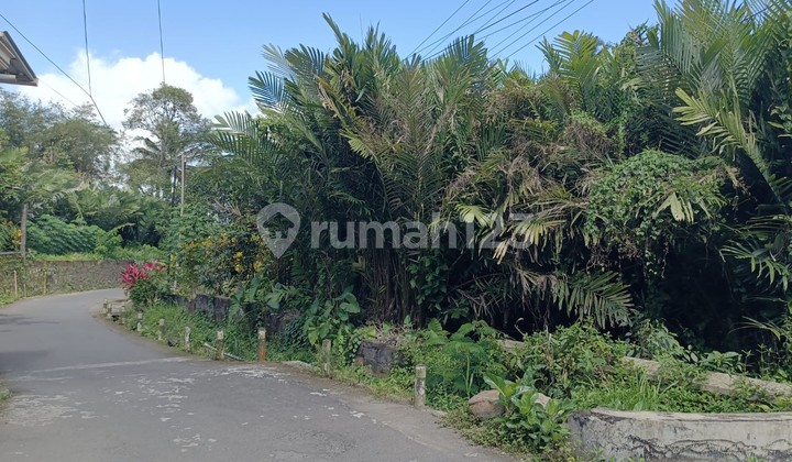 Tanah Dijual Tempel Tanah Dijual Tempel