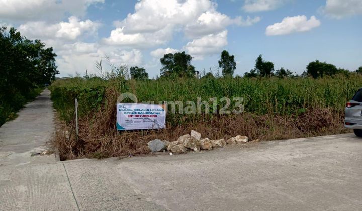 Tanah Kosong di Jalan Rantau Panjang, Desa Rantau Panjang, Kecamatan Tanah Grogot, Kabupaten Paser, Provinsi Kalimantan Timur Tanah Kosong di Jalan Rantau Panjang, Desa Rantau Panjang, Kecamatan Tanah Grogot, Kabupaten Paser, Provinsi Kalimantan Timur