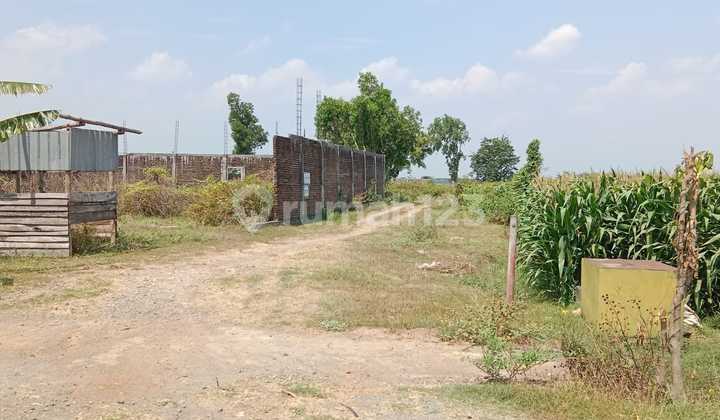 Tanah Strategis Kota Nganjuk Tanah Strategis Kota Nganjuk