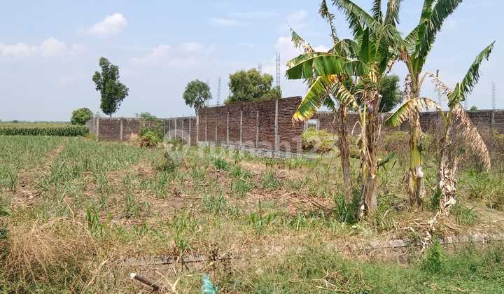 Tanah Strategis Kota Nganjuk Tanah Strategis Kota Nganjuk