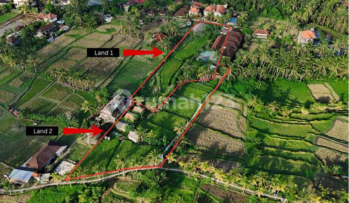 Rice Field Pink Land For Sale In Ubud Center With Existing Villas