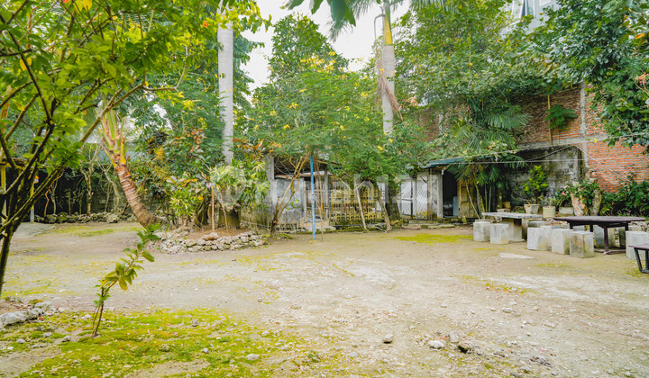 1500 Land In Prime Seminyak With Established Diving Center Business