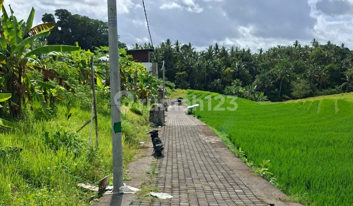Freehold Land In Tabanan For Sale Freehold Land In Tabanan For Sale