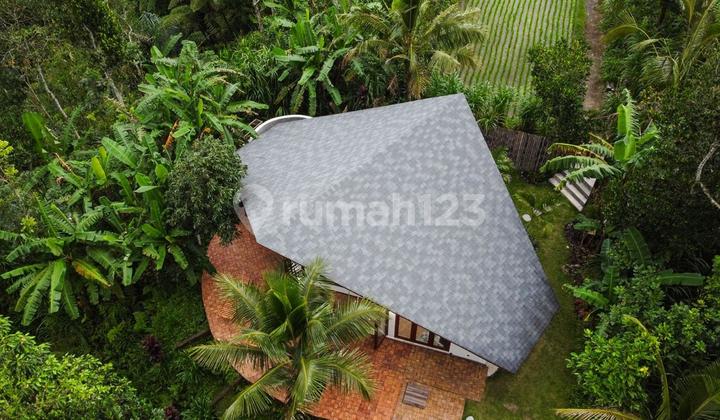 1 Bedroom Jungle View Villa With Absolute Privacy For Sale 1 Bedroom Jungle View Villa With Absolute Privacy For Sale