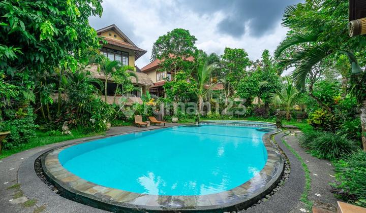Cozy Jungle View Studio Apartment In Ubud For Sale