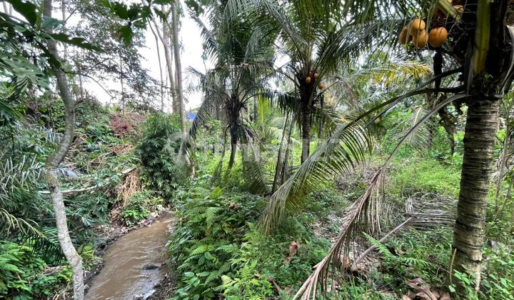 Yellow Zone Riverfront Land For Sale In Singakerta, Ubud Yellow Zone Riverfront Land For Sale In Singakerta, Ubud