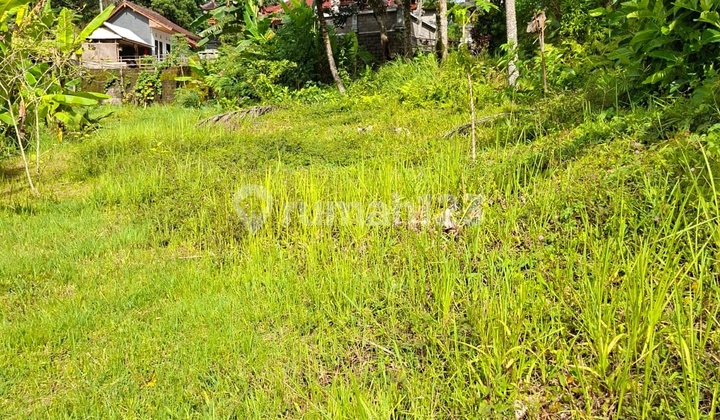 Freehold Land In Tabanan For Sale Freehold Land In Tabanan For Sale