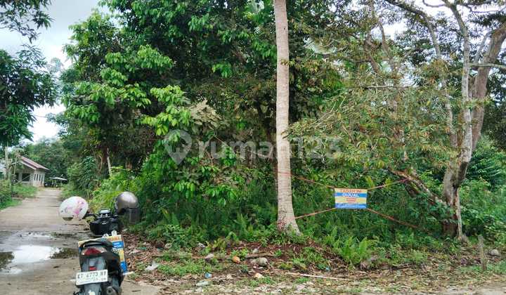 Land for Sale on Teritip Road, Mufakat, Near the Main Road Land for Sale on Teritip Road, Mufakat, Near the Main Road