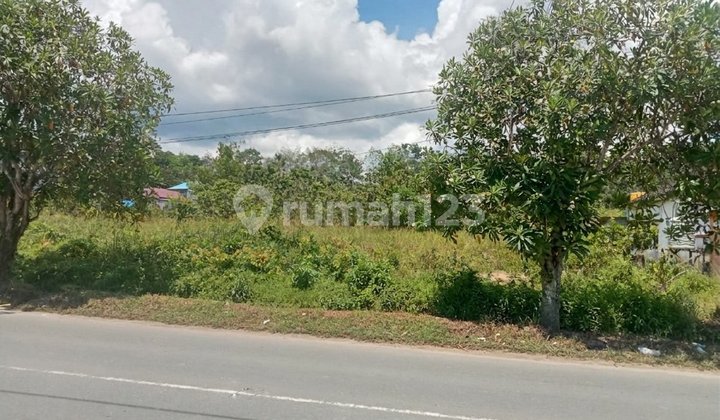 For Sale, Flat Land by the Main Road, Area 4215 m², Front Width 50 m, Depth 80.3 m. For Sale, Flat Land by the Main Road, Area 4215 m², Front Width 50 m, Depth 80.3 m.