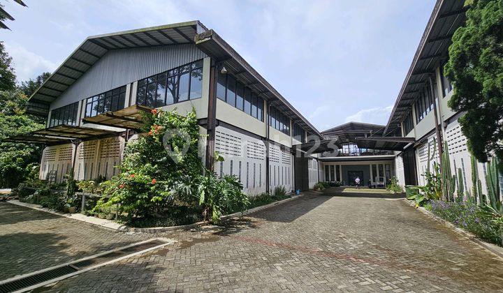Di Sewa Pabrik + Gudang + Kantor di Ciawi Bogor Dekat Pintu Toll