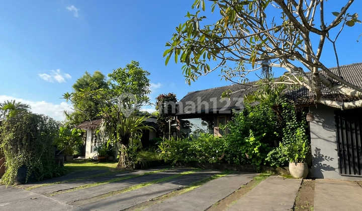 [For Rent] Strategic Business Space 150M² on Jl. Bypass Tanah Lot - Ready to Use!