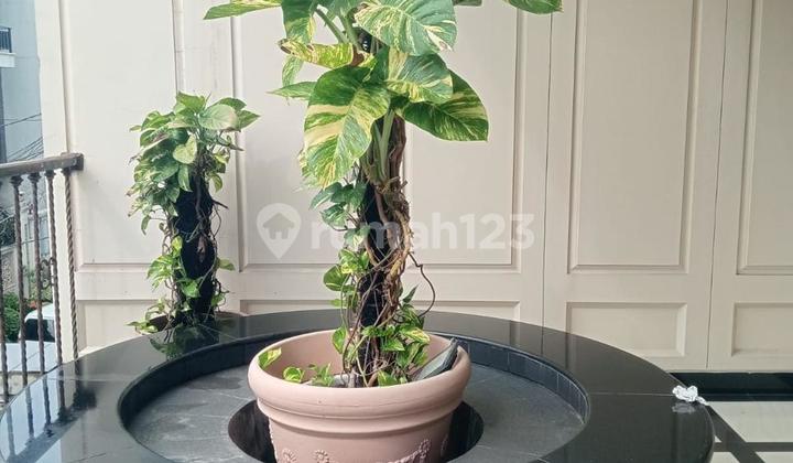 Dijual Rumah Pluit Selatan Jakarta Utara 2