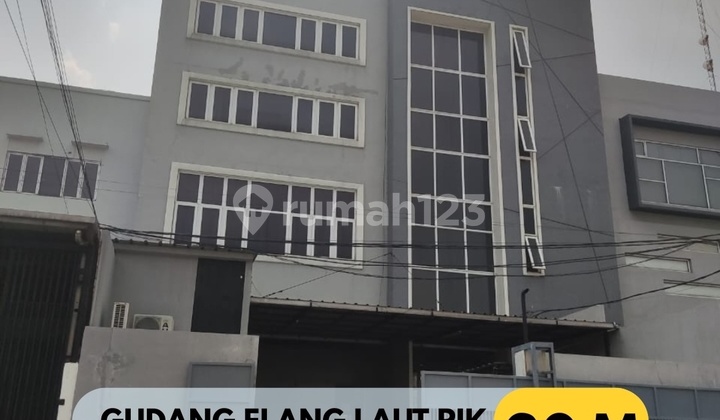 Dijual Gudang Elang Laut 4 Lantai Pik