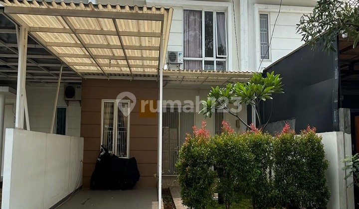 Naples House Sector 7b Ready to Occupy, Fully Furnished and Renovated. Naples House Sector 7b Ready to Occupy, Fully Furnished and Renovated.