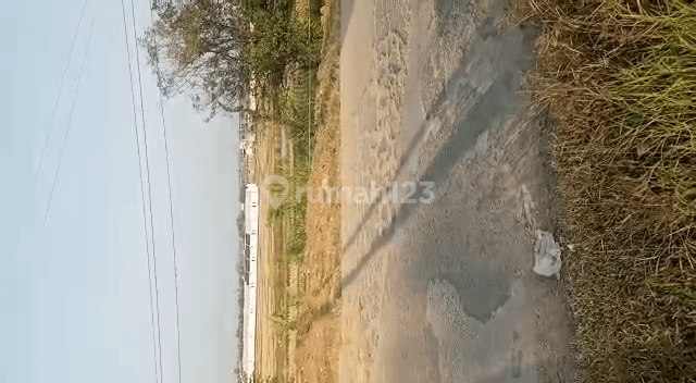 Lt 16.000 M2 di Kp.tegal Panjang Wibawa Mulia, Cibarusa Bekasi 2