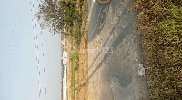 Lt 16.000 M2 di Kp.tegal Panjang Wibawa Mulia, Cibarusa Bekasi 4