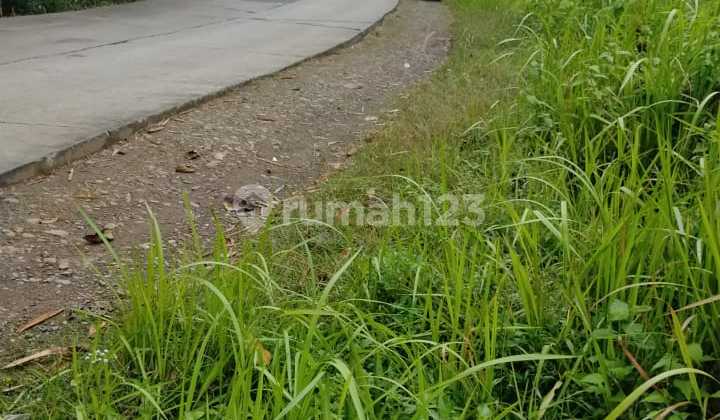 Tanah 1201 M2 Dipinggir Jalan Cariu, Desa Kertasari, Kecamatan Pangkalan, Karawang, 3