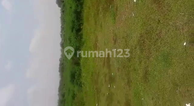 Tanah 6030 M2 di Desa Karang Mekar, Kedungwaringin, Bekasi 2