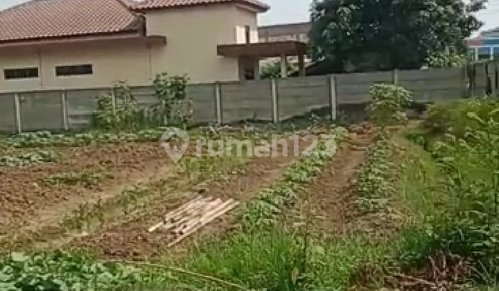 Tanah 5650 M2 di Desa Suka Raya, Kec. Karangbahagia, Bekasi 1