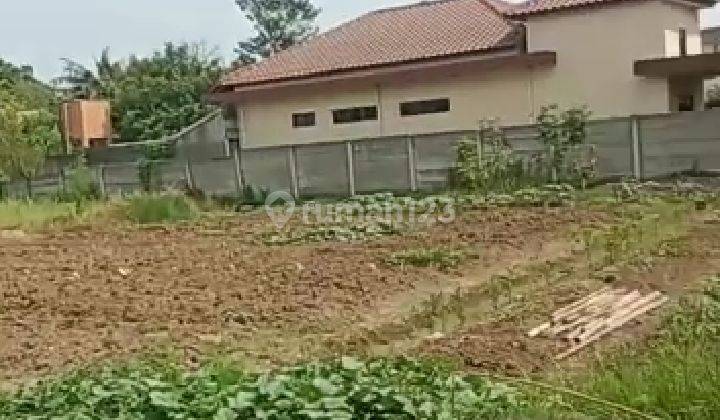 Tanah 5650 M2 di Desa Suka Raya, Kec. Karangbahagia, Bekasi 6