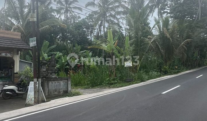 Land Ready to Build, in Payangan - Bali. Land Ready to Build, in Payangan - Bali.