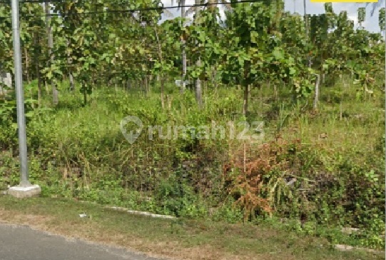 Land Area 1.6 Ha on Baron Main Road KM 6, Ideal for Resort, Hotel, or Rest Area, Mulo, Wonosari, Gunungkidul Land Area 1.6 Ha on Baron Main Road KM 6, Ideal for Resort, Hotel, or Rest Area, Mulo, Wonosari, Gunungkidul