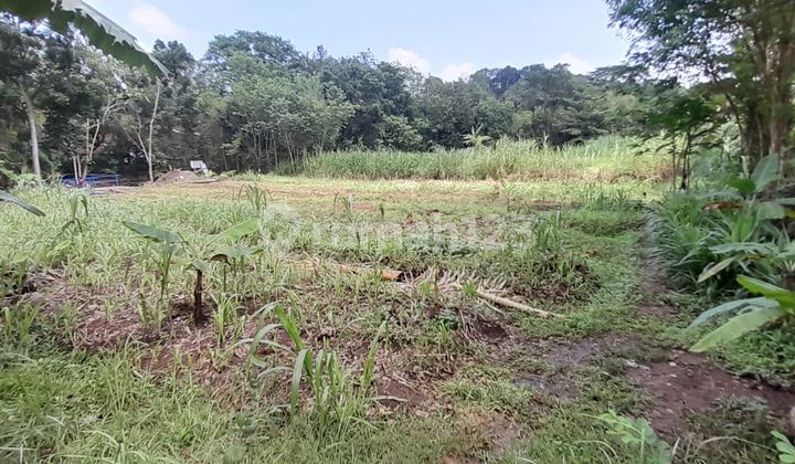 Spacious and Strategic Land in Imogiri, 1 Minute from the Regency Road Spacious and Strategic Land in Imogiri, 1 Minute from the Regency Road