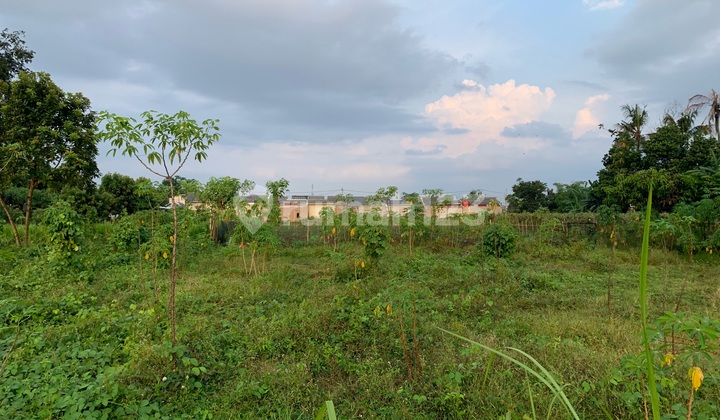 Large Corner Plot Land in City Development Radius