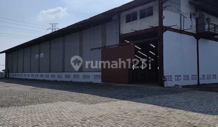 Dijual Ex Pabrik Springbed Jl Pantura Subang Jawa Barat Dijual Ex Pabrik Springbed Jl Pantura Subang Jawa Barat