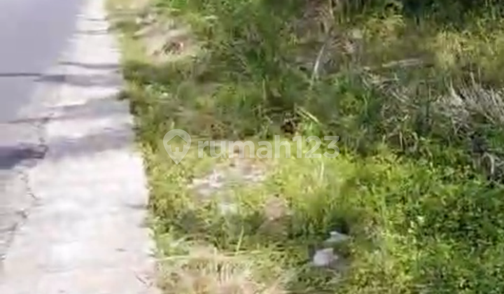 Kuala Tanjung Back Right Next to the Factory Near the Port