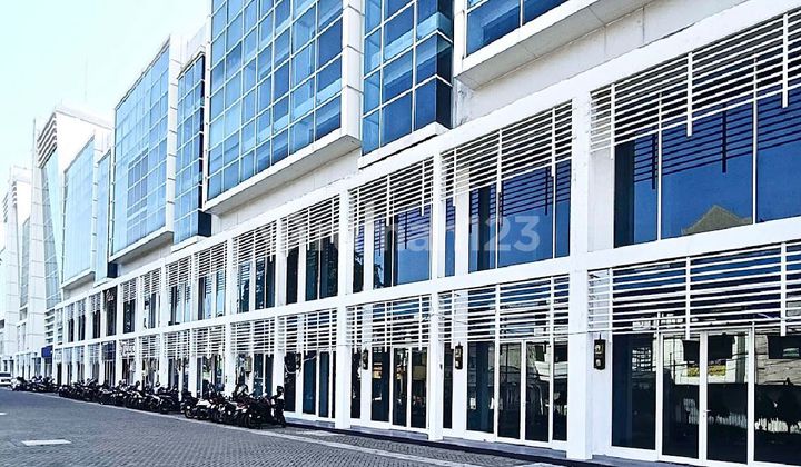 Soho Golden Klampis Best Deal Best Price 1