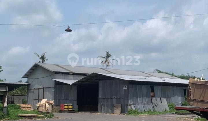 Quick Sale Wood Factory with 6 Chambers Kd Best Deal Quick Sale Wood Factory with 6 Chambers Kd Best Deal