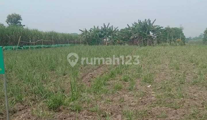 Strategic Land Near Kediri Islamic University Strategic Land Near Kediri Islamic University