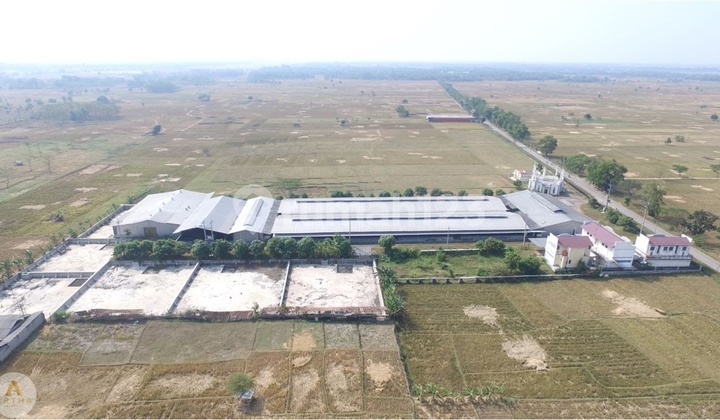 Land and Building of a Former Livestock Farm in Majalengka Land and Building of a Former Livestock Farm in Majalengka