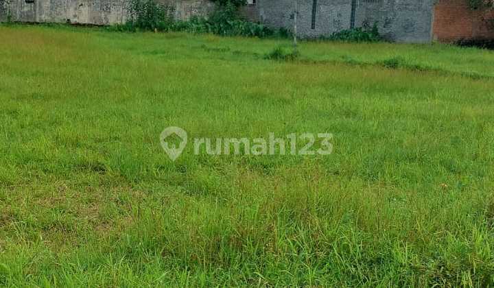 Land Area 1,204 M2 Freehold Title Leuwiliang Land Area 1,204 M2 Freehold Title Leuwiliang