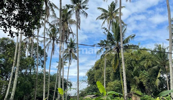 Beautiful Land With Perfect Sunrise And Sunset View In Tabanan For Lease Min 25 Years Beautiful Land With Perfect Sunrise And Sunset View In Tabanan For Lease Min 25 Years